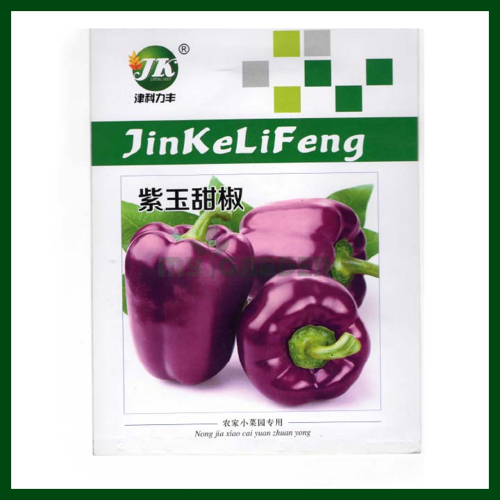Purple Capsicum - JK LiFeng - Chinese