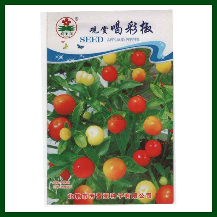 Round Ornamental Pepper - Chinese