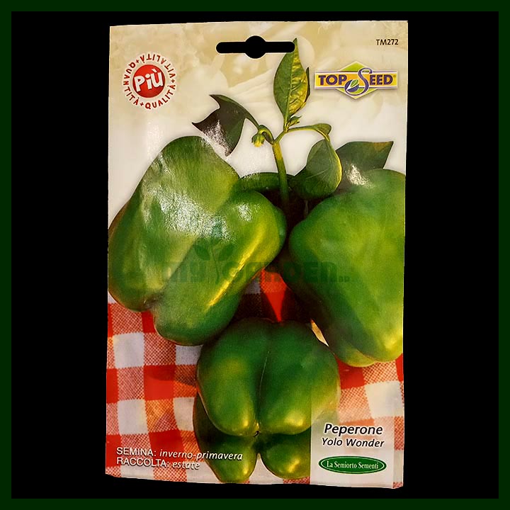 Green Capsicum - 600 to 900 seeds - Italian