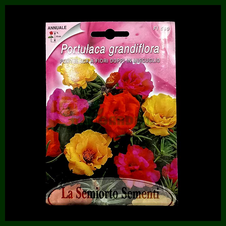 Portulaca Grandiflora Mixed Color - 01 gram seeds - Italian