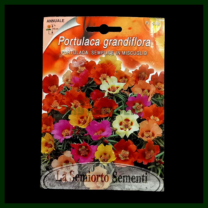 Portulaca Pourpier Mixed Color - 01 gram seeds - Italian